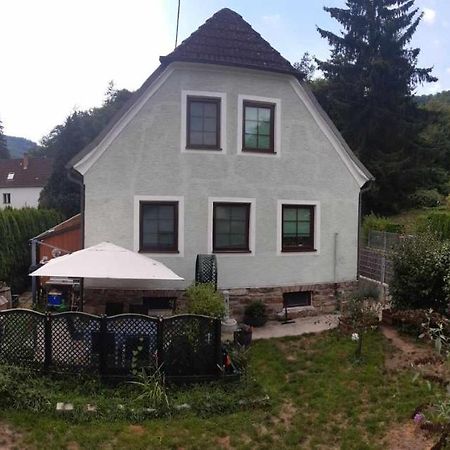 Apartament Zu Hause Am Bach Aggsbach Zewnętrze zdjęcie