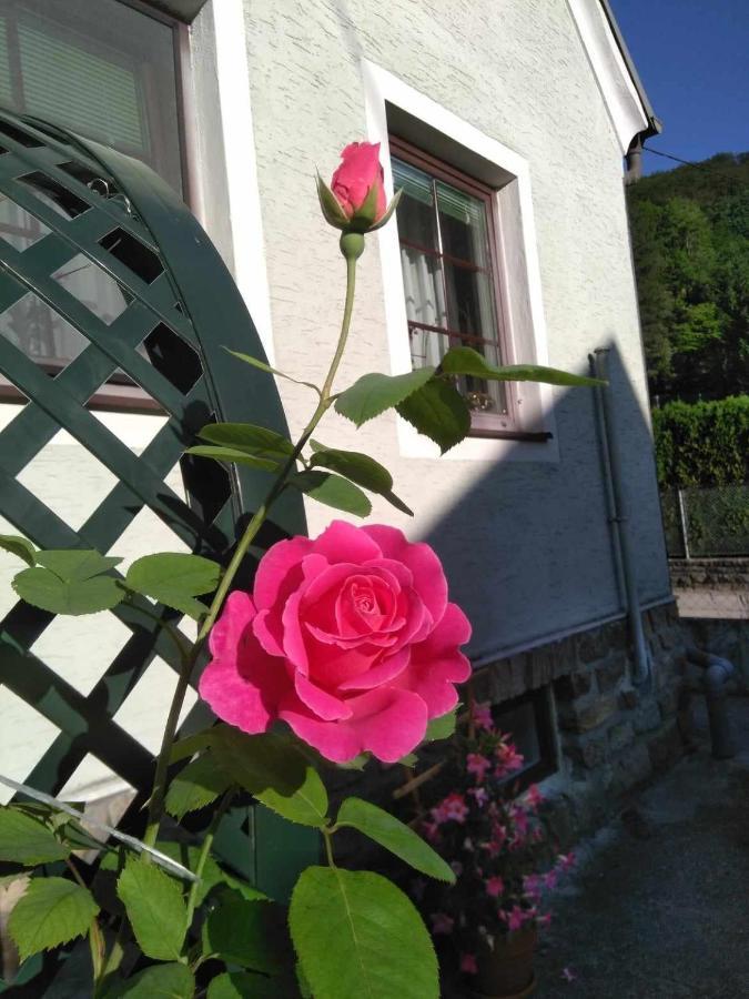 Apartament Zu Hause Am Bach Aggsbach Zewnętrze zdjęcie